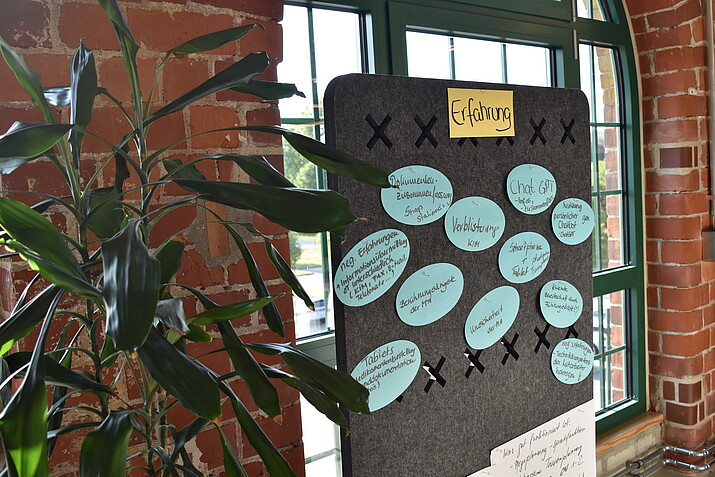 Result Cards on the Topic of “Experiences”